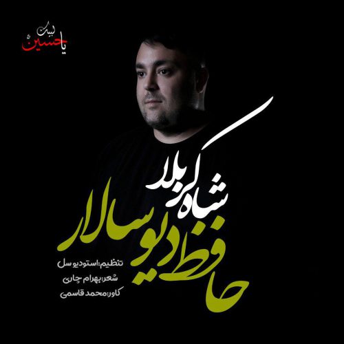 حافظ دیوسالار شاه کربلا